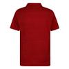 Dri-FIT Polo Shirt view 2