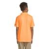 Dri-FIT Polo Shirt view 3