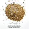 Clover Call by Blackjack Wildlife Seed - 5 lb Bag, Non-GMO, Balady Berseem, Dutch White, Ladino, Crimson Clover; for Spring or Fall Planting view 2
