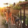 Relaxdays Bike Lock, Steel, Secure Construction with Holder, 2 Keys, 85 cm, Folding, Black, 20x7x5cm view 2