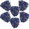Anderson's Premium Royal Blue and Gray School Spirit Shakers, Cheerleader Pom Poms, Sports Fan, Football, Basketball, Homecoming, Squad, Team, Party, Dance Club, Performance, Celebration Pack of 6 view 3