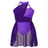 Aislor Women's Lyrical Dance Dress Sleeveless Color Block Chiffon Skirted Leotard Contemporary Dance Costumes Dark Purple Medium view 1