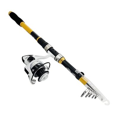 HNHYNSY Fishing Kit Set Telescopic Fishing Rod Reel Combo Spinning Reel Fishing Set Carp Fishing Rod Reel Kit Fishing Summer Gear (Color : B, Size : 3.6m+dk5000)
