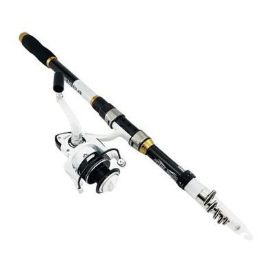 HNHYNSY Fishing Kit Set Telescopic Fishing Rod Reel Combo Spinning Reel Fishing Set Carp Fishing Rod Reel Kit Fishing Summer Gear (Color : A, Size : 3.6m+dk5000)