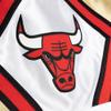 Mitchell & Ness NBA 75TH Gold Swingman Shorts Chicago Bulls 1997 (as1, Alpha, s, Regular, Regular) view 2