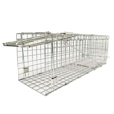 Collapsible Humane Live Animal Cage Trap No-Kill Trapping Kit for Humane Catch Release Rodent Small Cat, Rabbits, Squirrel, Opossum, Squire, Raccoon, All Fit Sized Small Animals, 2-Door 24"x8.5"x7.5"