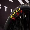 MAXXIS Grifter - 29x2.50 - EXO | Wire Bead - Single Compound - EXO | Freestyle BMX Tire view 4