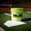 Rawlings | NC12BB Fastpitch Softballs & Bucket | 12" | 18 Count view 4