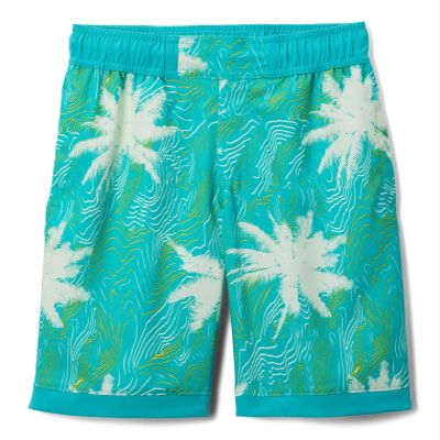 Columbia Toddler Boys Sandy Shores Boardshort, Bright Aqua Topo Palms/Bright Aqua, 2T