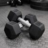 NEXO Straight Handle Dumbbells Full Knurled Commercial Grade Rubber Hex Dumb Bell Weight (25 Pounds, Single) view 1