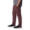 Columbia Men's Pine Canyon Pant, Light Raisin, 32 view 3