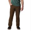 Columbia Men's Rapid Rivers Pant, Olive Green, 42 view 1