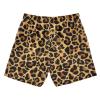 Aflyko Boys' Board Shorts Leopard Brown Black Bathing Suit Toddler Swim Trunk Girls Beach Swimwear view 2