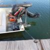 36-Inch Marine Grade SuperBungee Made in The USA with 2 Stainless Steel Hook Ends (Green/Black) view 4