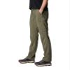 Columbia Women's Silver Ridge Utility Convertible Pant, Stone Green, 4 view 3