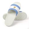 Argentina Flag Summer Slippers for Women and Men Fashion Unisex Beach Shoes Soft and Comfortable Indoor Slippers House Slippers White-style-11 44293mm view 3