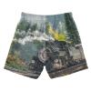 Aflyko Boys' Board Shorts Steam Train Mountain Swim Trunk Beach Swimwear S view 2