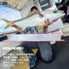 Daiwa Fluororine D-Fron Ship Harris 2-100, Natural Color view 4