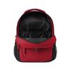 FOCO Tampa Bay Buccaneers NFL Property Of Action Backpack view 3