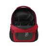 FOCO Tampa Bay Buccaneers NFL Colorblock Action Backpack view 3
