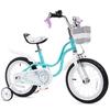 RoyalBaby Kids Bike Foldable Basket, Grey, S view 3