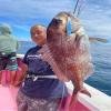 Sasslider 70g Silver Holo view 4