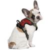 Littlearth NCAA South Carolina Gamecocks Pet Front Clip Harness, Team Color, Medium view 2