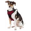 Littlearth NCAA South Carolina Gamecocks Pet Front Clip Harness, Team Color, Medium view 3