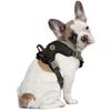 Littlearth NHL Boston Bruins Pet Front Clip Harness, Team Color, Medium view 2