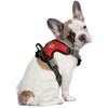 Littlearth NHL Carolina Hurricanes Pet Front Clip Harness, Team Color, Medium view 2