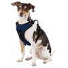Littlearth NCAA North Carolina Tar Heels Pet Front Clip Harness, Team Color, Large view 3