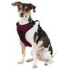 Littlearth NCAA Virgina Tech Hokies Pet Front Clip Harness, Team Color, Small view 3