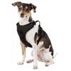 Littlearth Iowa Hawkeyes NCAA Front Clip Pet Harness view 3