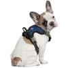 Littlearth NHL Columbus Blue Jackets Pet Front Clip Harness, Team Color, Medium view 2