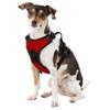 Littlearth NCAA Ohio State Buckeyes Pet Front Clip Harness, Team Color, Medium view 3