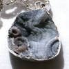 1 7/10" Crystal Quartz Druzey Druze Agate Cabochon Pendant 24" Chain EBS4212 view 2