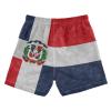 Aflyko Patriot Board Shorts Dominican Republic Flag Boys Girls Swim Kid Trunk Beach Swimwear Bathing Suit view 2