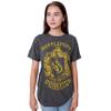 Harry Potter Hufflepuff Quidditch Team Adult T-Shirt(XXL, Charcoal Heather) view 3