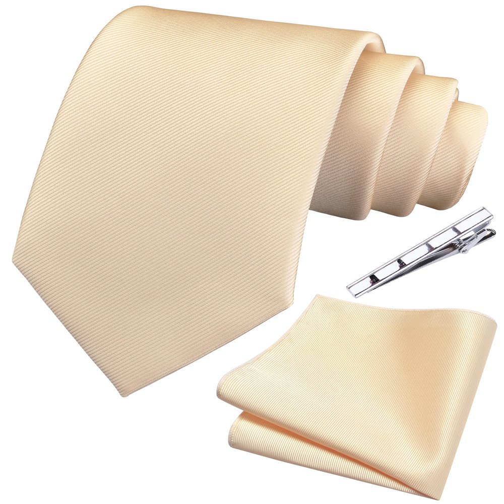 Branduce Mens Wedding Champagne Ties Solid Silk Necktie Pocket Square Set Classic Business Ties with Clip (TA01-10)