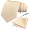Branduce Mens Wedding Champagne Ties Solid Silk Necktie Pocket Square Set Classic Business Ties with Clip (TA01-10) view 1