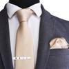 Branduce Mens Wedding Champagne Ties Solid Silk Necktie Pocket Square Set Classic Business Ties with Clip (TA01-10) view 2