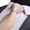 Branduce Mens Wedding Champagne Ties Solid Silk Necktie Pocket Square Set Classic Business Ties with Clip (TA01-10) view 3
