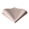Branduce Mens Wedding Champagne Ties Solid Silk Necktie Pocket Square Set Classic Business Ties with Clip (TA01-10) view 4