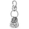 KeyUnity KS05 Stainless Steel Carabiner Mini Clips, Key Holder Organizer Keychain for Keys, Flashlight, Folding Knife & Whistles view 1
