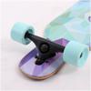 Longborads Skateboards Drop Through Complete Skateboard, 41 Inches Long Boards Skateboard for Girls/Boys, 9 Layer Maple Deck Skate Board Cruiser for Kids Adults Beginners (Color : A) view 2