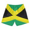 Aflyko Patriot Board Shorts Jamaica Flag Boys Girls Swim Trunk Kid Beach Swimwear Bathing Suit view 2