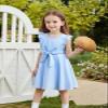 AGQT Toddler Girls Summer Dress Flutter Sleeve Dress A-Line Casual Mini Dress Sleeveless Sundress with Belt Light Blue Size 2-3T view 4