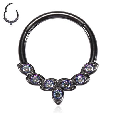 Daith Earrings Surgical Steel 16G Septum Jewelry Black Septum Ring Hoop Hinged Segment Seamless Clicker Ring Rook Earrings Tragus Hoop Conch Helix Piercing Jewelry 8mm with Rainbow CZ