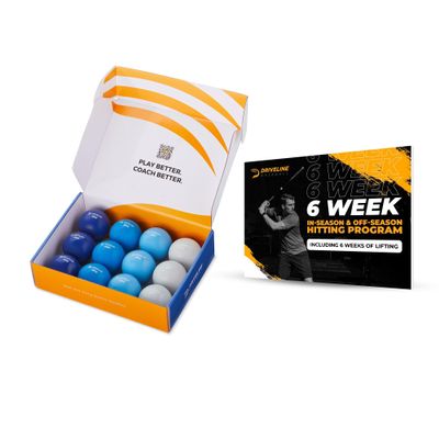 Driveline Baseball PlyoCare Balls - 12 Heavy Weighted Hitting Practice Balls + Free 6-Week Program