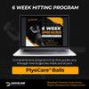 Driveline Baseball PlyoCare Balls - 12 Heavy Weighted Hitting Practice Balls + Free 6-Week Program view 4